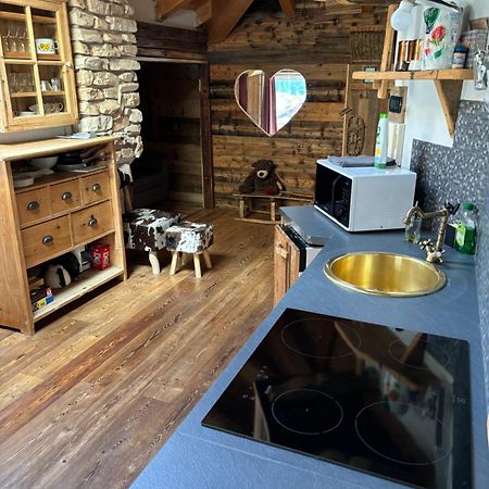 La Tana Dell'Orso Apartman Campitello di Fassa Kültér fotó